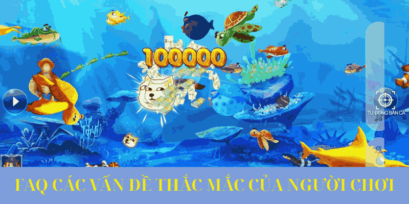 Những băn khoăn thường gặp từ game thủ.