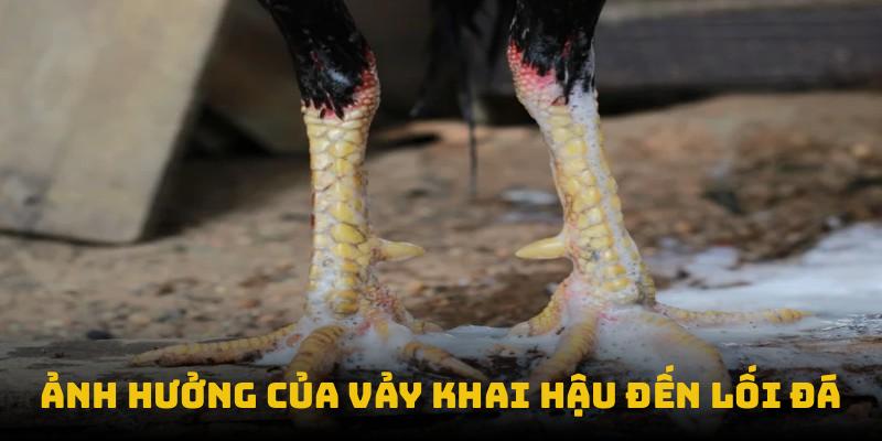 Ảnh hưởng của vảy khai hậu đến lối đá