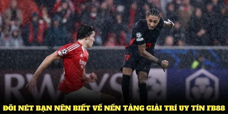 Đôi nét bạn nên biết về nền tảng giải trí uy tín FB88