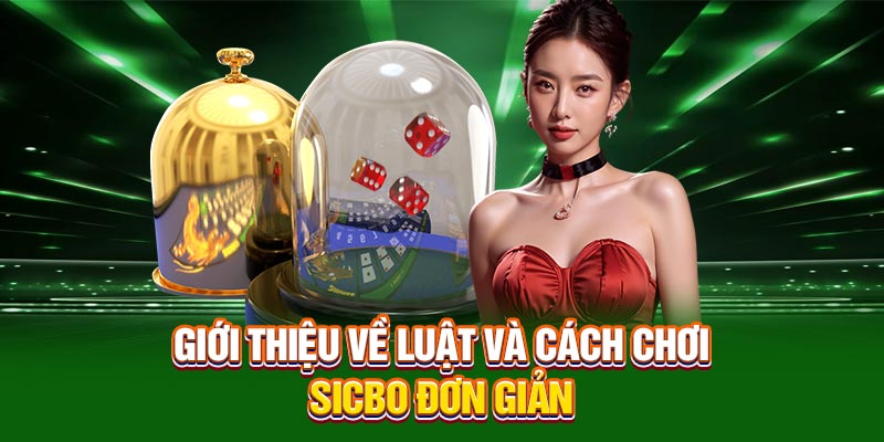 Giới thiệu về luật và cách chơi Sicbo đơn giản