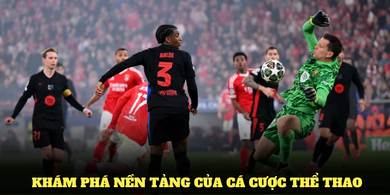 Khám phá nền tảng của cá cược thể thao thành công.