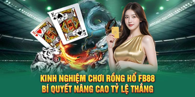 Kinh nghiệm chơi rồng hổ FB88: Bí quyết nâng cao tỷ lệ thắng