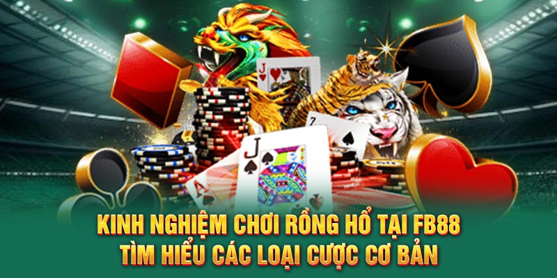 Kinh nghiệm chơi rồng hổ tại FB88 – Tìm hiểu các loại cược cơ bản