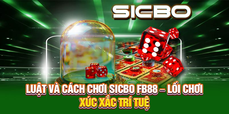 Luật Và Cách Chơi Sicbo FB88 – Lối Chơi Xúc Xắc Trí Tuệ