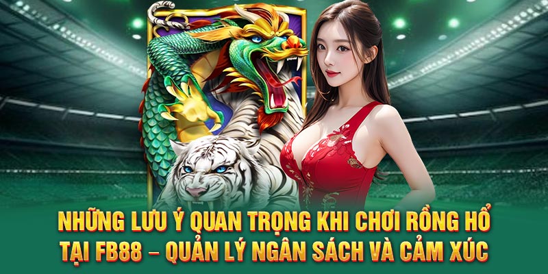 Những lưu ý quan trọng khi chơi rồng hổ tại FB88 – Quản lý ngân sách và cảm xúc