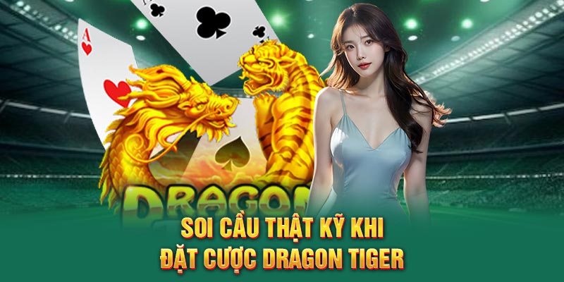 Soi cầu thật kỹ khi đặt cược Dragon Tiger
