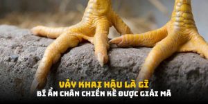 Vảy Khai Hậu Là Gì: Bí Ẩn Chiến Kê Được Giải Mã Tại FB88